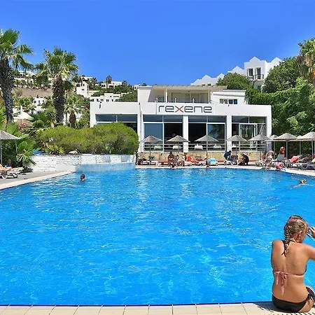 Rexene 4*