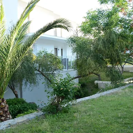 Rexene