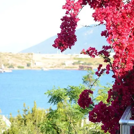 Rexene 4* Bodrum
