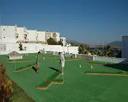 Rexene 4*