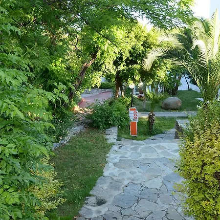 Rexene Resort 4*